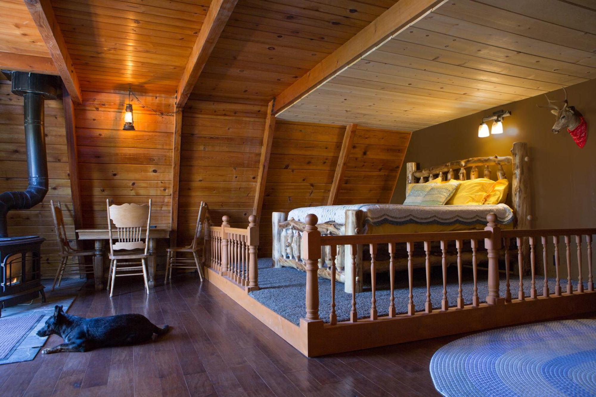 Hicksville Pines Chalets & Motel Idyllwild Eksteriør billede